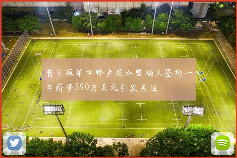 昔日冠军中锋卢尼加盟湖人签约一年薪资390万美元引发关注