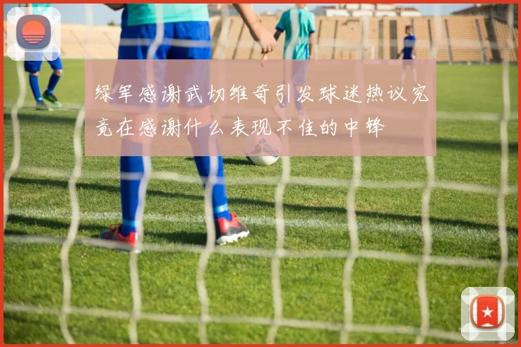 绿军感谢武切维奇引发球迷热议究竟在感谢什么表现不佳的中锋